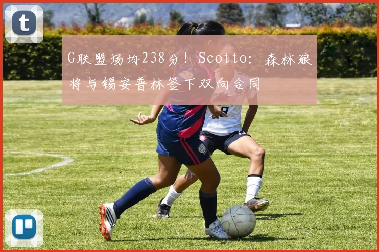 G联盟场均238分！Scotto：森林狼将与锡安普林签下双向合同